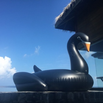  Hot Sale Inflatable Giant Swan Float Black Swan Rainbow Pool Float	