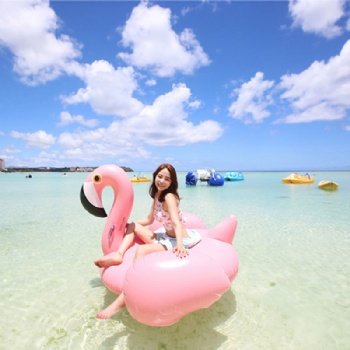  Giant Inflatable Pool Float Flamingo Inflatable Pink Flamingo	